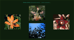 Desktop Screenshot of gallery.plantae.sk