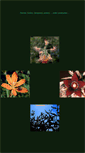 Mobile Screenshot of gallery.plantae.sk